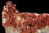Ruby Red Vanadinite Crystal Plate - Morocco #82368-1